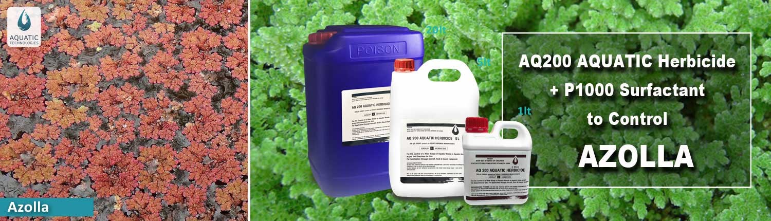 azolla-solution-herbicide-aquatic-technologies