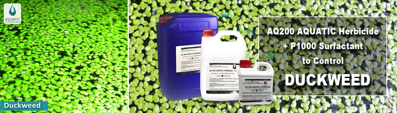 duckweed-solution-herbicide-aquatic-technologies