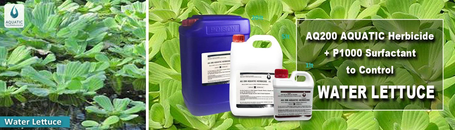 waterlettuce-solution-herbicide-aquatic-technologies